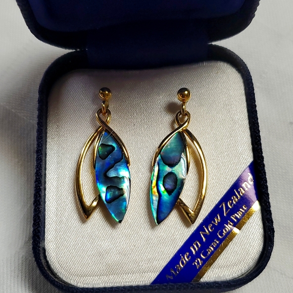 Beautiful Paua Shell Earrings - Picture 1 of 4